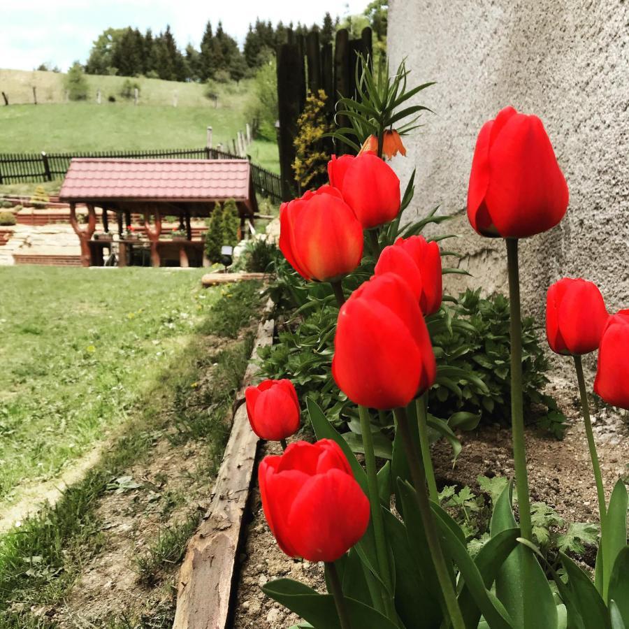 Apartmán Jedlička Telgárt Exterior foto